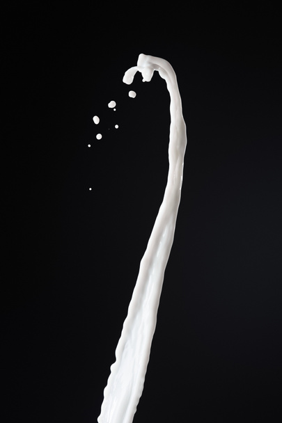 fresh white milk splash with drops isolated on black - Foto, imagen