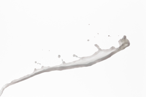 salpicadura de leche blanca fresca pura aislada en blanco
 - Foto, imagen