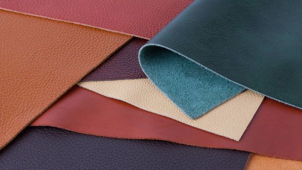 Multicolored natural leather textures samples - Photo, Image