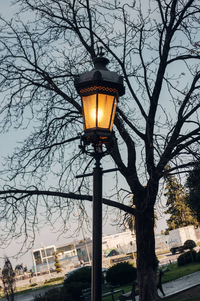 Verlichte lantaarnpaal voor een bladloze boom - Foto, afbeelding