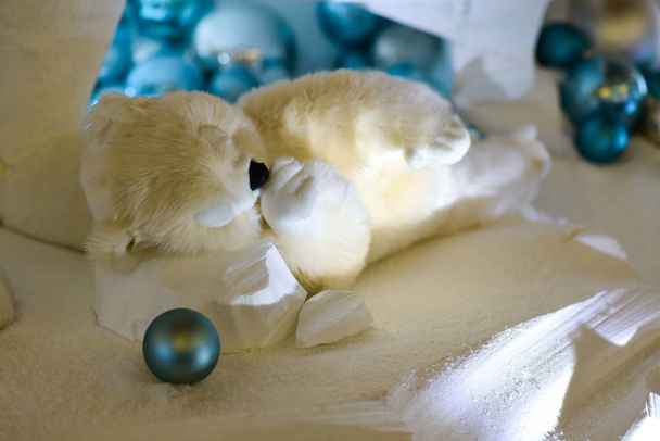 Teddy Polar Bear chupa la pata
 - Foto, Imagen