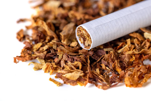 dried smoking tobacco Isolated on a white background. - Photo, Image