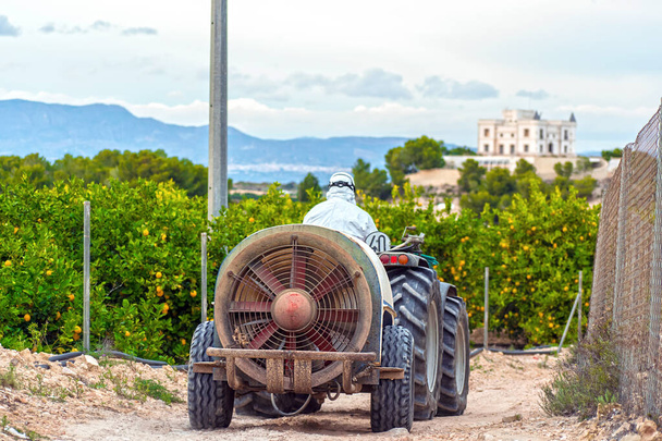 Egy farmer védőruhában traktort vezet egy spanyol citromültetvényen. A gazda rovarirtót és rovarirtót akar permetezni. Gyomirtó szerek fertőtlenítése. Ökológiai ökológiai mezőgazdaság. - Fotó, kép