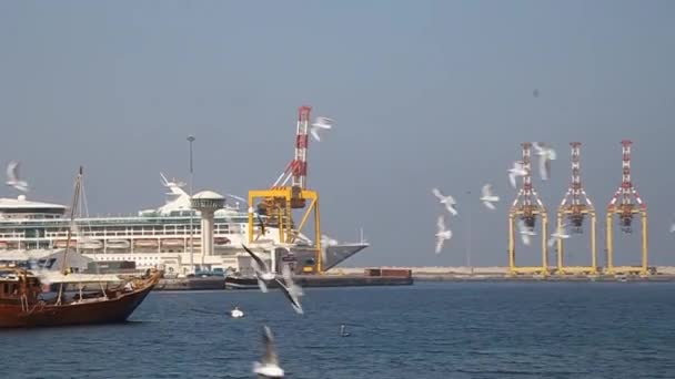 Schiffe im Hafen von Mutrah in Muscat - Filmmaterial, Video