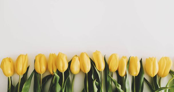 frame of yellow tulips on white background. Top view feminine flat lay. Concept of holiday, birthday,  International Womens Day.  - Foto, immagini