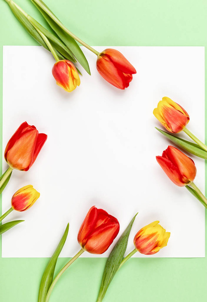 Beautiful red  tulips flowers for holiday. - Photo, image