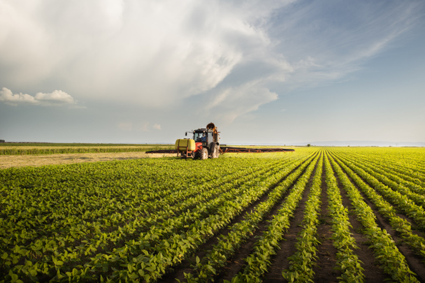 Traktor stříká sójové pole při západu slunce. - Fotografie, Obrázek