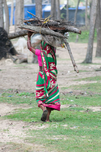 Takanäkymä Yksi intialainen kylä Nainen leikkaa polttopuita luonnonsuojelualueelta, kuljettaa raskaita kuormia päähän ja kävelyyn, käytettäväksi puupolttoaineena tai biopolttoaineena. Metsien häviäminen Ympäristönsuojelun käsite
 - Valokuva, kuva