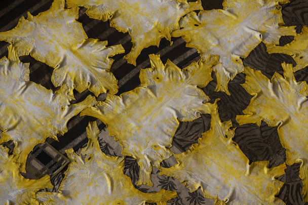 Žluté zabarvené zvířecí kůže rozložené na sucho v koželužnách ve Fezu - Fotografie, Obrázek