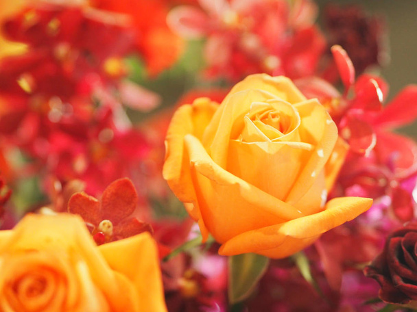 Orange Rose Blumenarrangement schöner Strauß auf verschwommener Natur Hintergrund Symbol Liebe Valentinstag  - Foto, Bild