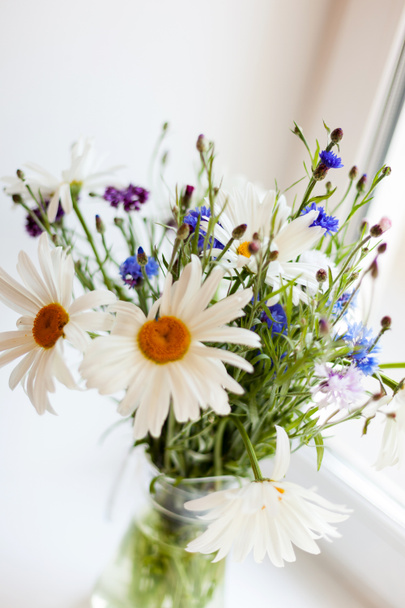  Μπουκέτο με άγρια λουλούδια  - Φωτογραφία, εικόνα