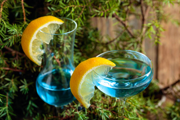 Kék gin és borókabogyó ágak bogyós gyümölcsök.  - Fotó, kép
