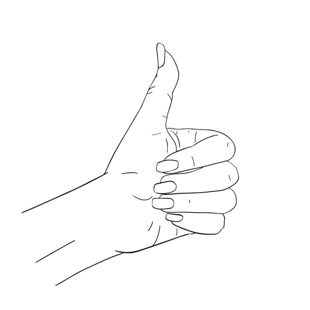 Жест рукой, большой палец вверх, эскиз линии
.  - Вектор,изображение