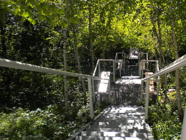 Shown is a steep metal staircase located in a birch grove. Filmed in summer, in good, sunny weather. It can serve as a backdrop. - Photo, Image