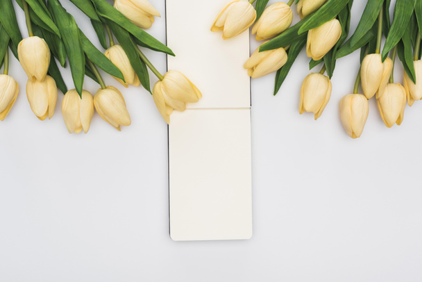 vista superior de tulipas e bloco de notas vazio isolado em branco
 - Foto, Imagem