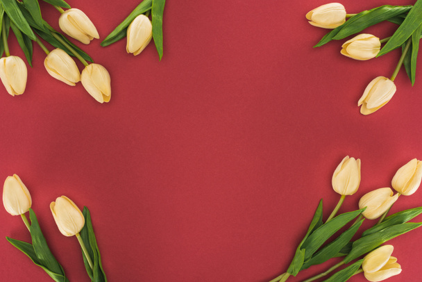 Draufsicht auf Tulpen isoliert auf rot mit Kopierraum - Foto, Bild
