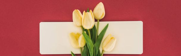 vista superior de tulipas e caderno vazio isolado em vermelho, tiro panorâmico
 - Foto, Imagem