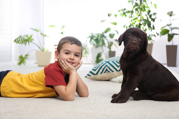 Little boy with puppy on floor at home. Friendly dog - Фото, зображення