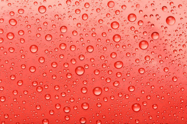 Water drops on red background - Fotografie, Obrázek