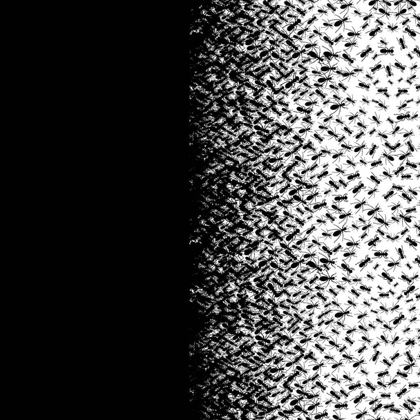 Vektorillustration schwarzer Ameisen aus der Vertikalen. abstrakte kreative Komposition. Ameisen monochromen Vektor. Insekten im Schwarz-Weiß-Konzept. Textilmuster, Druckmuster. Schwarz-weißes Muster. - Vektor, Bild