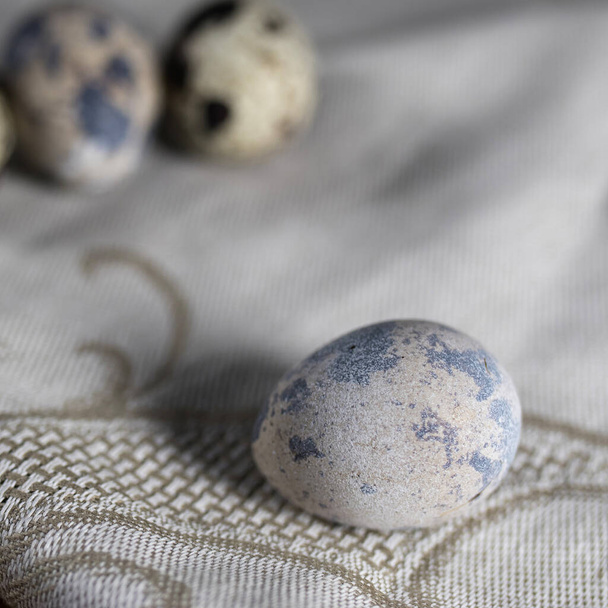 Quail eggs pattern on grey background, close up. Easter decoration of kitchen - Foto, Imagen