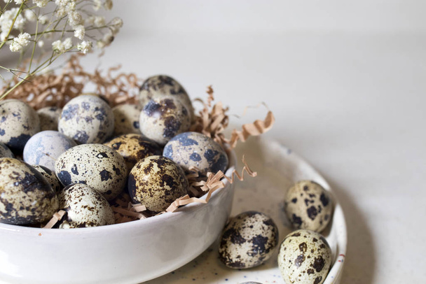 quail eggs in a white ceramic bowl. Easter decoration of kitchen - Foto, Imagen
