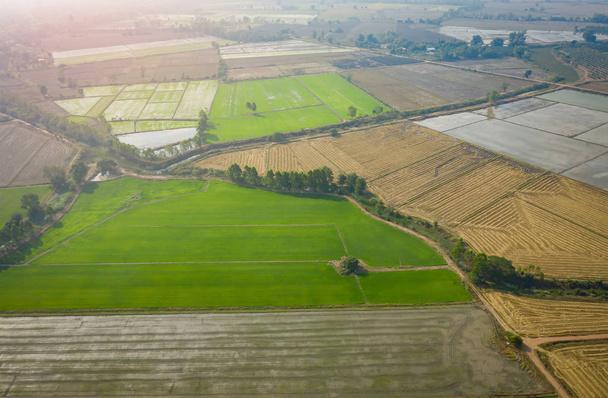 Воздушное изображение красивого зеленого рисового поля и дорожек в
 - Фото, изображение