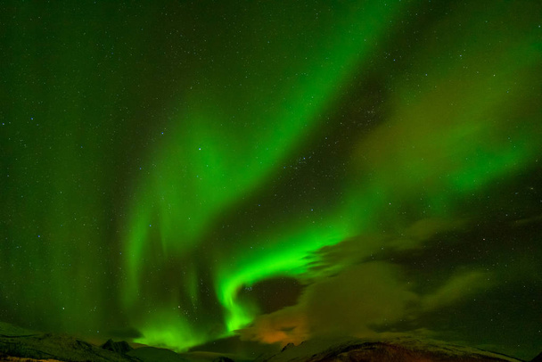 Úžasná severní světla, Aurora borealis nad horami na severu Evropy - Lofotenské ostrovy, Norsko - Fotografie, Obrázek