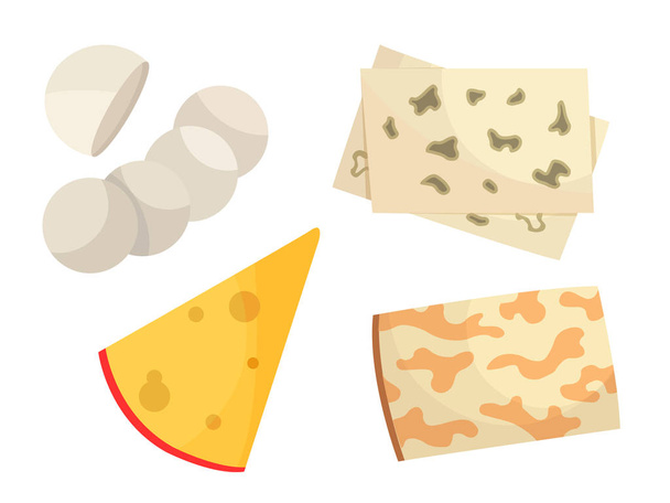 Various types of cheese. Modern flat style realistic vector illustration icons, isolated on white background - Vector, Image