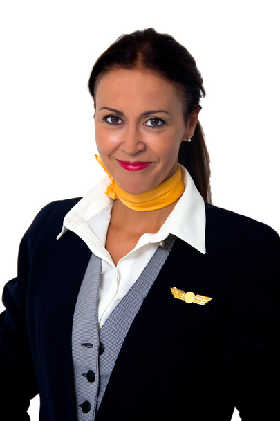 stewardess - Фото, зображення