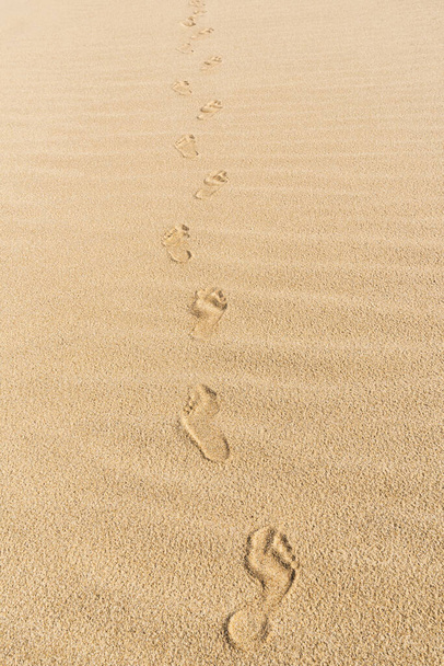 Fußstapfen auf gelbem Sand an einem sonnigen Tag. Fußabdrücke am Strand - Foto, Bild