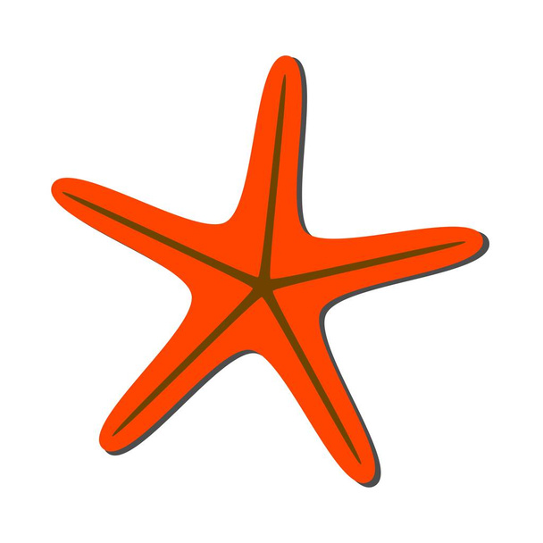 Starfish in flat style isolated on white background .Vector illustration for your design. Summer cartoon starfish. - Vector, Image