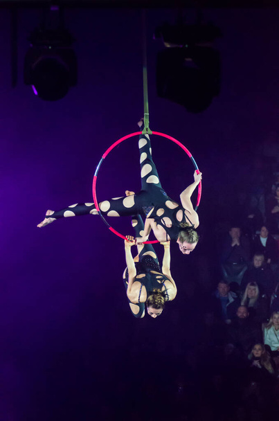 Night at the circus - Photo, image