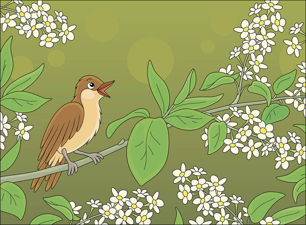 Small singing nightingale perched on a branch with white flowers of a spring blooming tree, vector cartoon illustration - Vektor, Bild