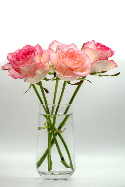 Red romantic rose in vase from glass - Foto, Bild