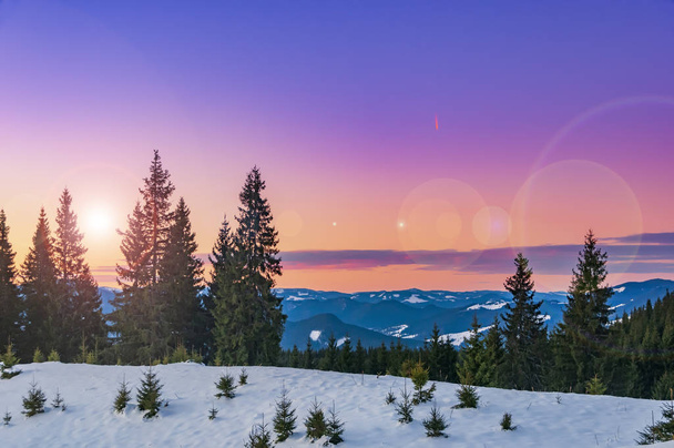 Magic pink sunset high in the winter mountains. - Фото, зображення