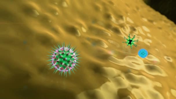 macrofaag en coronavirus, macrofaag doodt de virussen, 3d gesmolten macrofaag en virus, in het menselijk lichaam, Medische video achtergrond, virussen in het menselijk lichaam, Human Immune System aanval van het virus  - Video