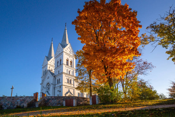 Old catholic church in Belarus - 写真・画像