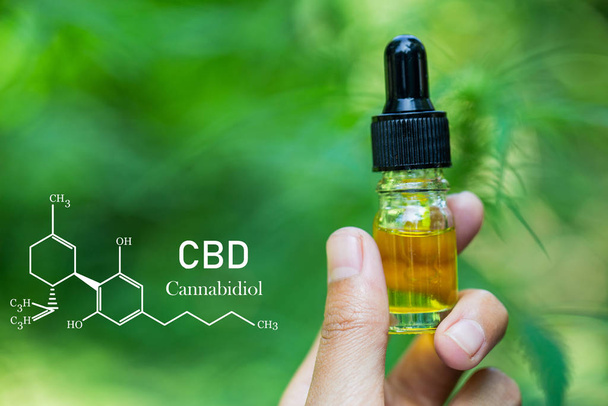 Elementos CBD en Cannabis, extractos de aceite de cáñamo en frascos, ma medicinal
 - Foto, imagen