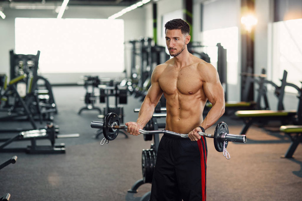 Healthy man with perfect body working hard at the gym with barbell for biceps. - 写真・画像