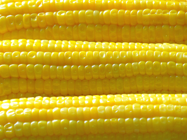 Lined Up élénk sárga főtt cukor kukorica háttér, textúra - Fotó, kép
