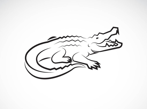 Vektor krokodil design fehér háttér. Vadállatok.  - Vektor, kép