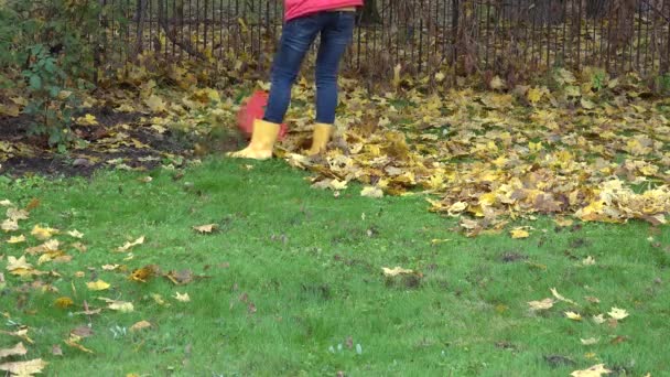женщины грабли кленовые листья в саду в день. Сезонная работа. 4K
 - Кадры, видео