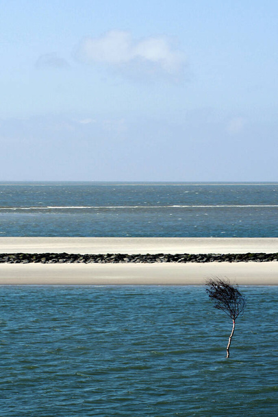 beach and sea view on the wangerooge island - Zdjęcie, obraz