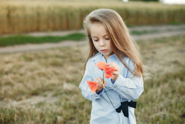 Cute little girl in a summer field - Φωτογραφία, εικόνα