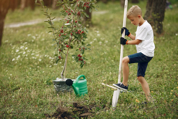 Cute little boy planting a tree on a park - Foto, afbeelding