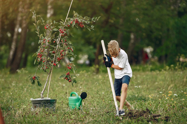 Cute little boy planting a tree on a park - Fotografie, Obrázek