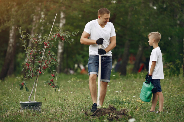 Father with little son are planting a tree on a yard - Photo, image