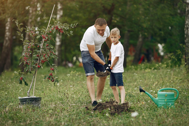 Father with little son are planting a tree on a yard - 写真・画像
