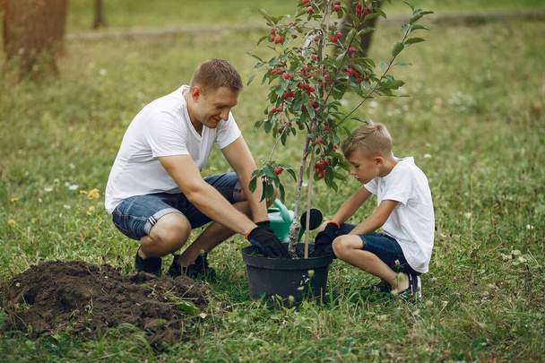 Father with little son are planting a tree on a yard - 写真・画像
